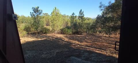 Quintinha em Aranhas