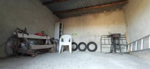 Quintinha em Aranhas