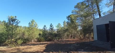 Quintinha em Aranhas