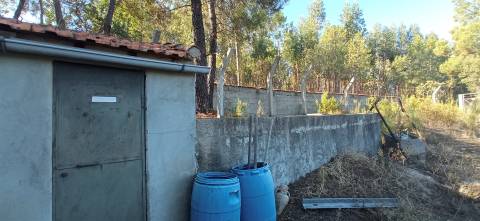 Quintinha em Aranhas