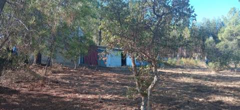 Quintinha em Aranhas