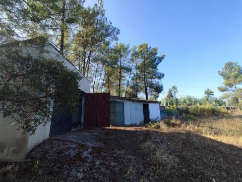 Quintinha em Aranhas