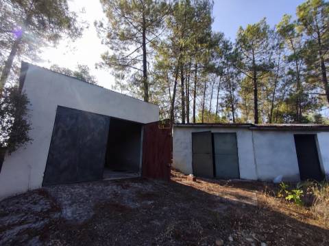 Quintinha em Aranhas