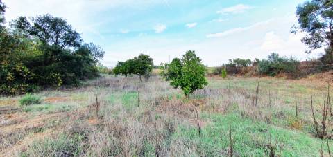 QUINTA COM CHARCA NA FREGUESIA DE SANTO ANDRÉ DAS TOJEIRAS