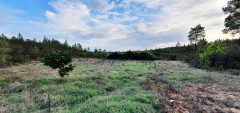 QUINTA COM CHARCA NA FREGUESIA DE SANTO ANDRÉ DAS TOJEIRAS