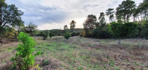 QUINTA COM CHARCA NA FREGUESIA DE SANTO ANDRÉ DAS TOJEIRAS