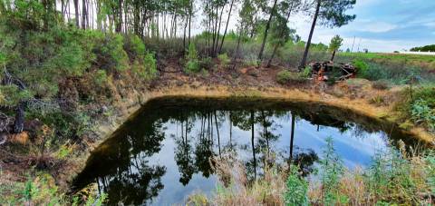 QUINTA COM CHARCA NA FREGUESIA DE SANTO ANDRÉ DAS TOJEIRAS