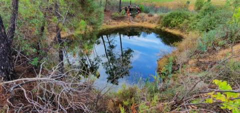 QUINTA COM CHARCA NA FREGUESIA DE SANTO ANDRÉ DAS TOJEIRAS