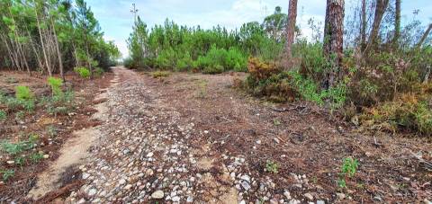 QUINTA COM CHARCA NA FREGUESIA DE SANTO ANDRÉ DAS TOJEIRAS
