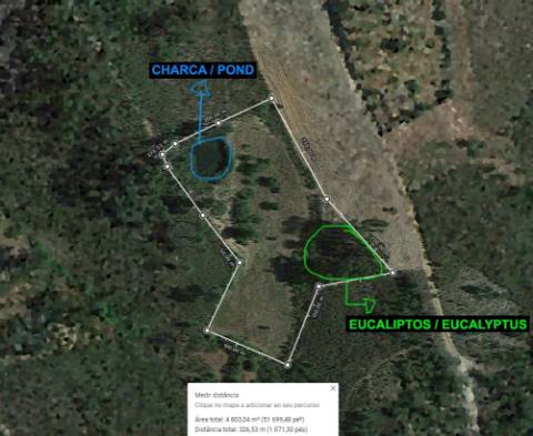 QUINTA COM CHARCA NA FREGUESIA DE SANTO ANDRÉ DAS TOJEIRAS