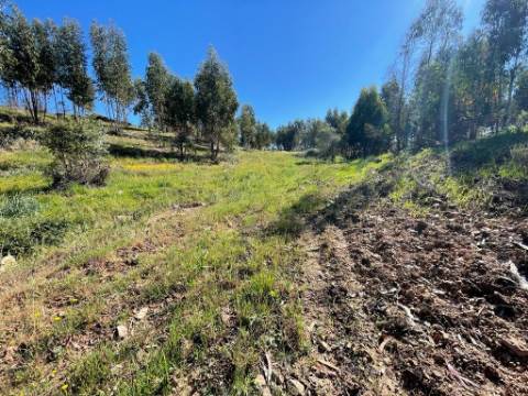 Quinta com 3.5HA com Construções Urbanas