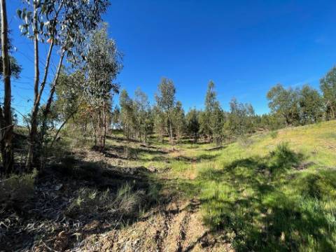 Quinta com 3.5HA com Construções Urbanas