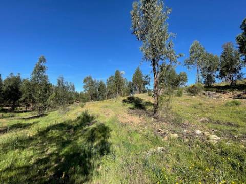 Quinta com 3.5HA com Construções Urbanas