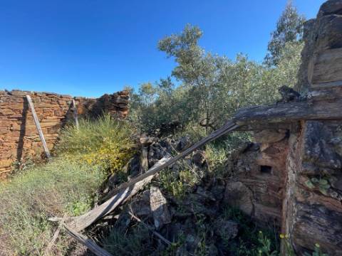 Quinta com 3.5HA com Construções Urbanas