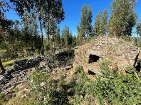 Quinta com 3.5HA com Construções Urbanas