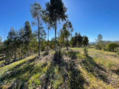 Quinta com 3.5HA com Construções Urbanas