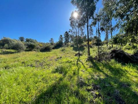 Quinta com 3.5HA com Construções Urbanas