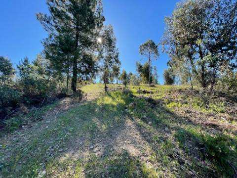 Quinta com 3.5HA com Construções Urbanas