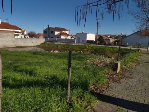 Lote de terreno Lardosa, Castelo Branco.