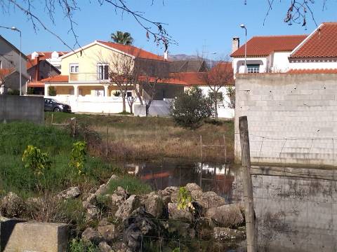 Lote de terreno Lardosa, Castelo Branco.