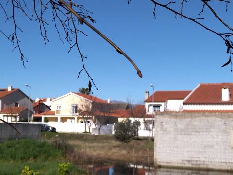 Lote de terreno Lardosa, Castelo Branco.