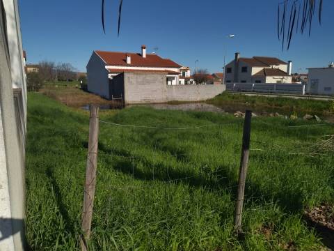 Lote de terreno Lardosa, Castelo Branco.