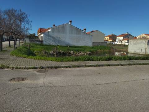 Lote de terreno Lardosa, Castelo Branco.