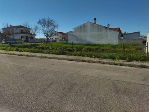 Lote de terreno Lardosa, Castelo Branco.
