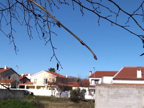 Lote de terreno Lardosa, Castelo Branco.