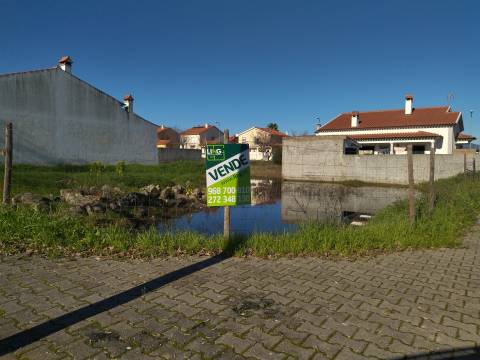 Lote de terreno Lardosa, Castelo Branco.
