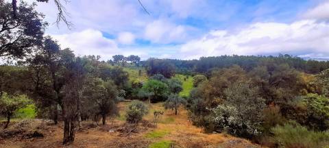 Terreno Rústico - 1560m2 - Poço - Ribeiro Sazonal