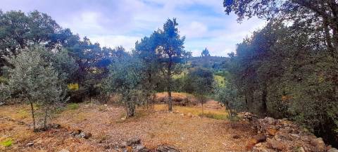 Terreno Rústico - 1560m2 - Poço - Ribeiro Sazonal