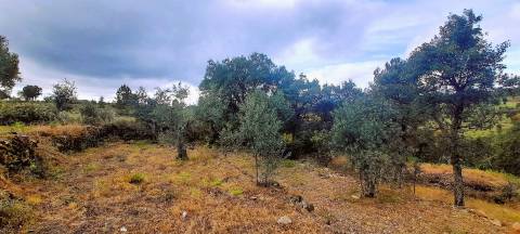 Terreno Rústico - 1560m2 - Poço - Ribeiro Sazonal
