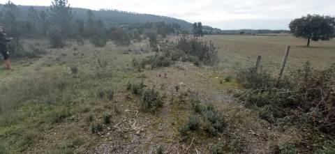 Terreno rústico com em Penamacor, Castelo Branco.