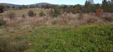 Terreno rústico com em Penamacor, Castelo Branco.