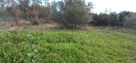 Terreno rústico com em Penamacor, Castelo Branco.