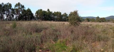 Terreno rústico com em Penamacor, Castelo Branco.