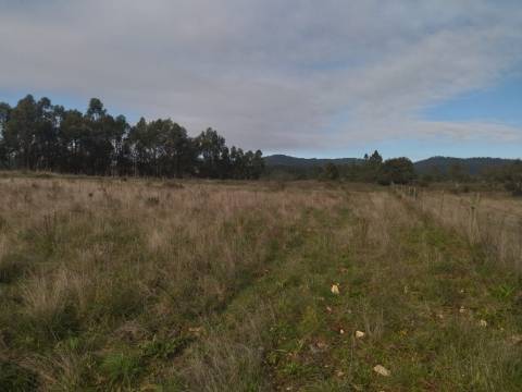 Terreno rústico com em Penamacor, Castelo Branco.