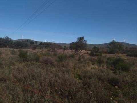 Terreno rústico com em Penamacor, Castelo Branco.