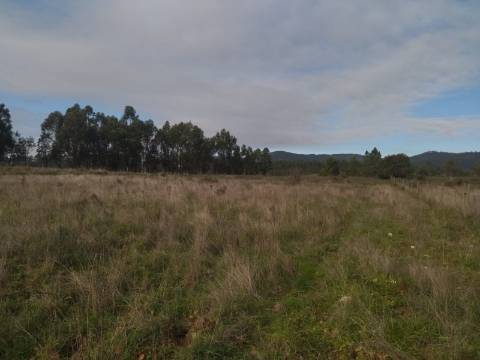 Terreno rústico com em Penamacor, Castelo Branco.