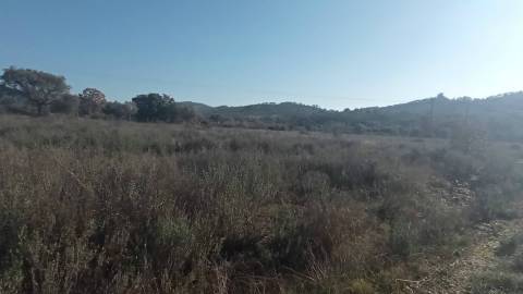 Terreno rústico com em Penamacor, Castelo Branco.
