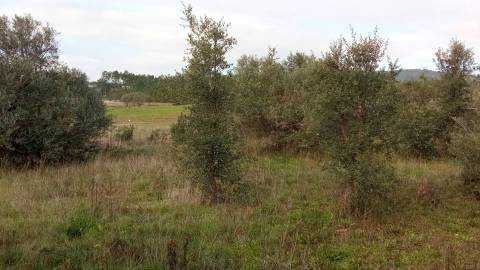 Terreno rústico com em Penamacor, Castelo Branco.