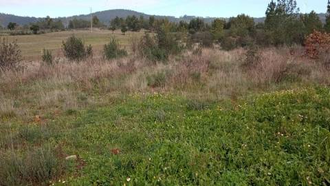 Terreno rústico com em Penamacor, Castelo Branco.