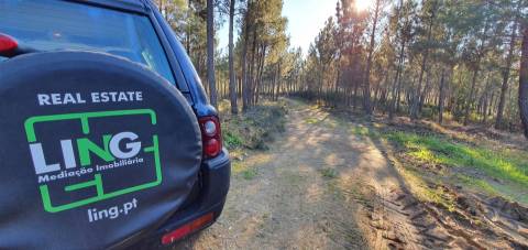 Quinta com 2.25Ha e casa para recuperar na freguesia das Sarzedas