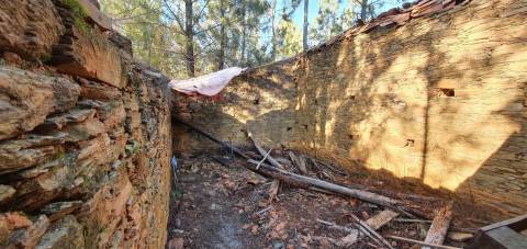 Quinta com 2.25Ha e casa para recuperar na freguesia das Sarzedas