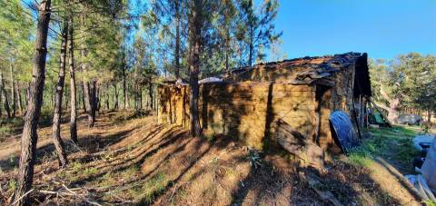 Quinta com 2.25Ha e casa para recuperar na freguesia das Sarzedas