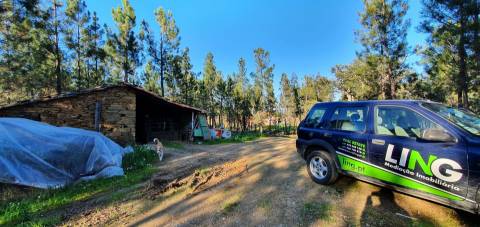 Quinta com 2.25Ha e casa para recuperar na freguesia das Sarzedas