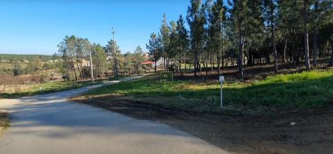 Quinta com 2.25Ha e casa para recuperar na freguesia das Sarzedas