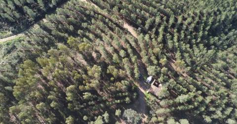 Quinta com 2.25Ha e casa para recuperar na freguesia das Sarzedas