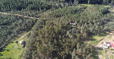 Quinta com 2.25Ha e casa para recuperar na freguesia das Sarzedas